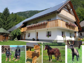 Domačija Loncnar- apartment Bohinjska Bistrica